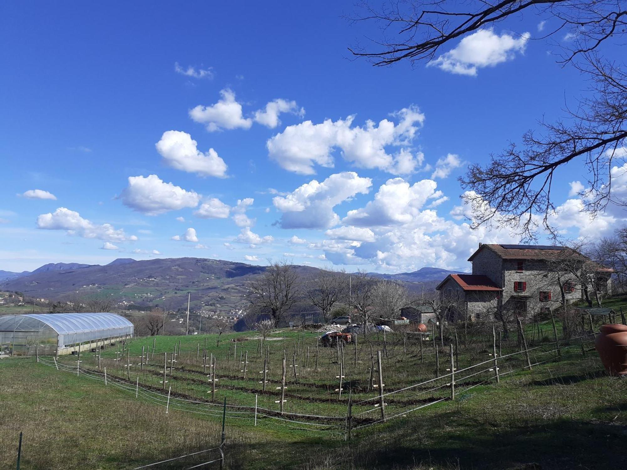 Ca Gennara Agri B&B Porretta Terme Exterior foto