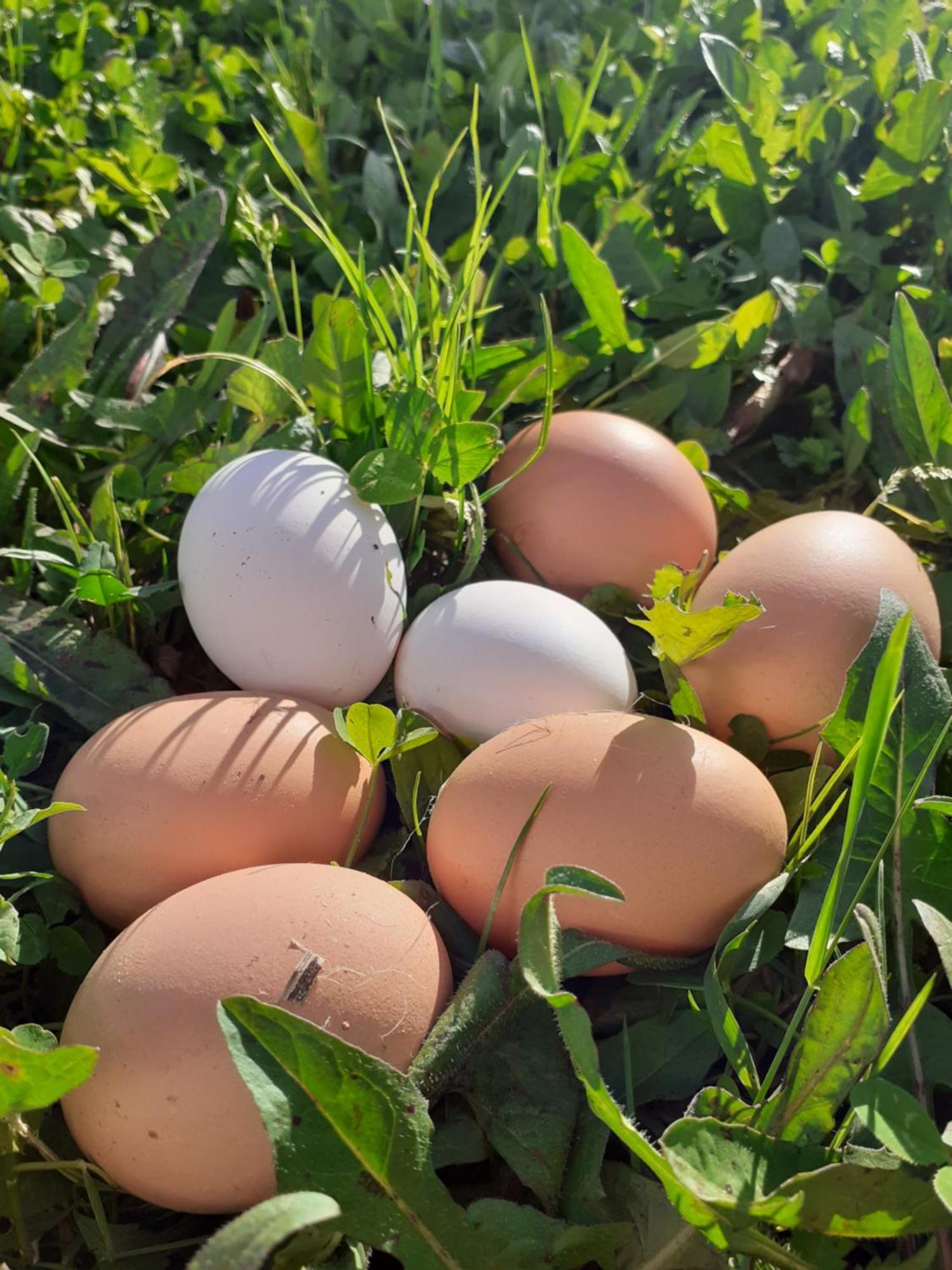 Ca Gennara Agri B&B Porretta Terme Exterior foto